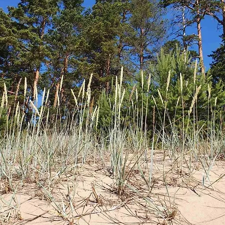 Villa Splife Semi-detached *