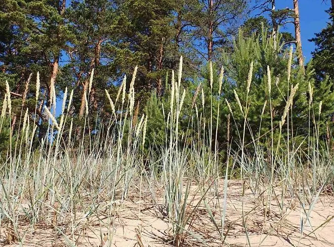 וילה Splife Semi-detached *